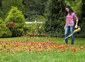 How to Blow Leaves with a Leaf Blower