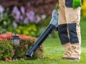 Cordless Leaf Blower