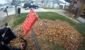 Bagging leaves after using a leaf blower