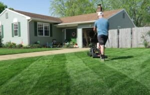 Mowing Grass With A Lawn Mower