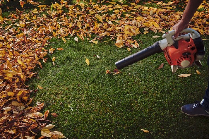 Why are leaf blowers bad?