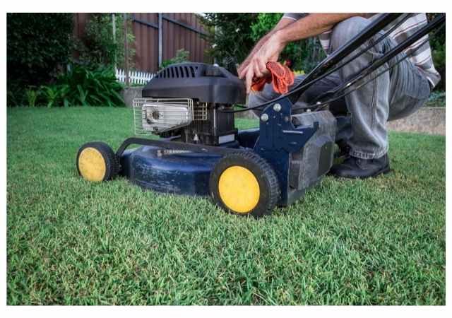 Mulching Mower vs Regular Mower