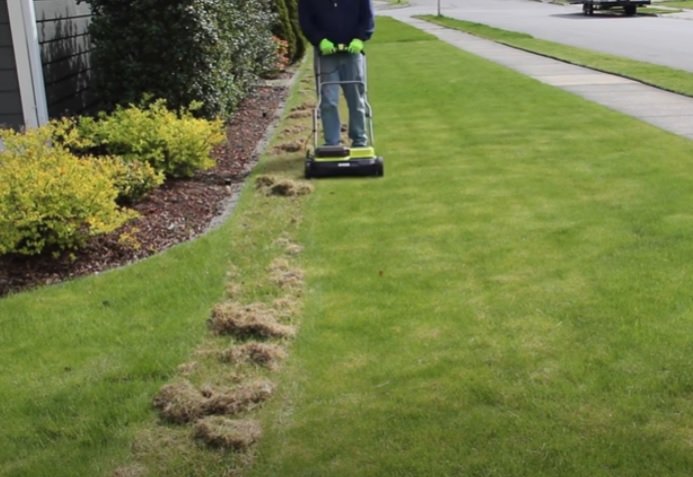 Power raking the lawn