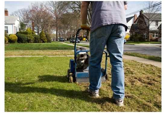 Is Power Raking Good for the Lawn