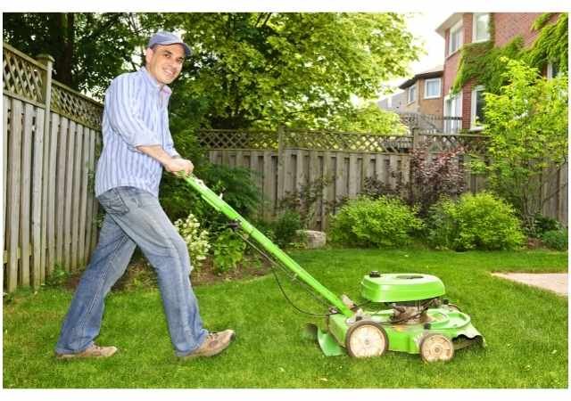 Mulching with a Regular Mower