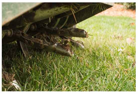 Tines of a core aerator