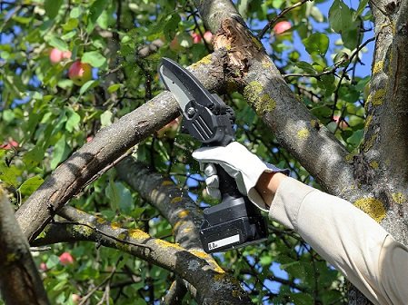 small battery powered chainsaw
